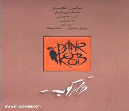 اولین آلبوم گروه موسیقی دارکوب منتشر شد