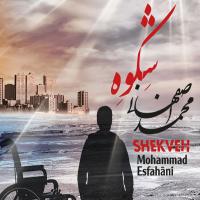 آلبوم «محمد اصفهانی» با نام «شِکوه» منتشر شد